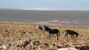 01 - Désert d'Atacama (3)